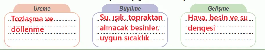 6. Sınıf Fen Bilimleri Ders Kitabı Sayfa 91 Cevapları Birinci Kitap