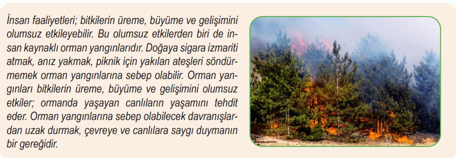 6. Sınıf Fen Bilimleri Ders Kitabı Sayfa 92 Cevapları Birinci Kitap