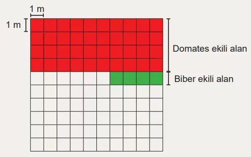 6. Sınıf Matematik Ders Kitabı Sayfa 124-125-126-127. Cevapları 1. Kitap