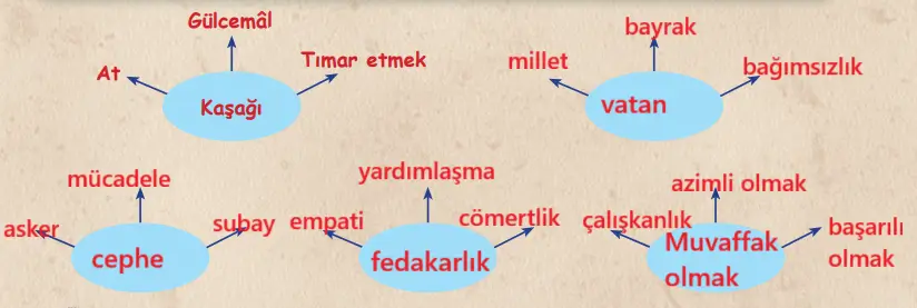 6. Sınıf Türkçe Ders Kitabı Sayfa 72 Cevapları Birinci Kitap