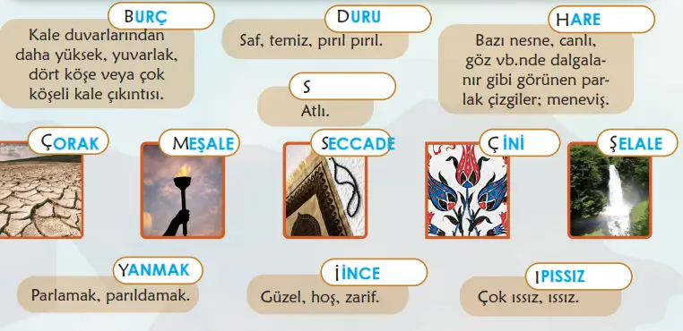 6. Sınıf Türkçe Ders Kitabı Sayfa 81 Cevapları