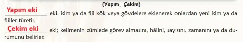6. Sınıf Türkçe Ders Kitabı Sayfa 95 Cevapları Birinci Kitap3