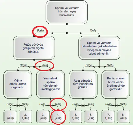 6. Sınıf Fen Bilimleri Ders Kitabı Sayfa 106 Cevapları