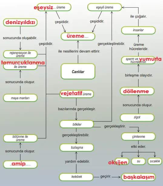 6. Sınıf Fen Bilimleri Ders Kitabı Sayfa 107 Cevapları