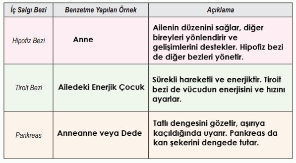 6. Sınıf Fen Bilimleri Ders Kitabı Sayfa 117 Cevapları
