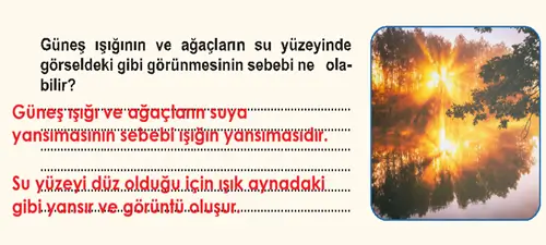 6. Sınıf Fen Bilimleri Ders Kitabı Sayfa 134 Cevapları