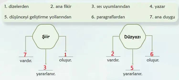 6. Sınıf Türkçe Ders Kitabı Sayfa 81 Cevapları