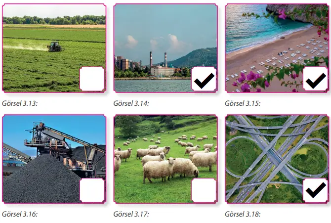 7. Sınıf Sosyal Bilgiler Ders Kitabı Sayfa 112-114-118. Cevapları MEB Yayınları