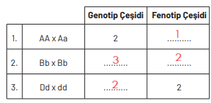 8. Sınıf Fen Bilimleri Ders Kitabı Sayfa 94 Cevapları