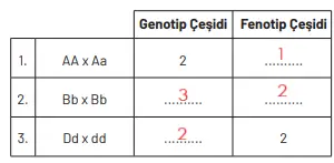 8. Sınıf Fen Bilimleri Ders Kitabı Sayfa 94 Cevapları