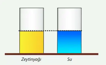 8. Sınıf Fen Bilimleri Ders Kitabı Sayfa 100 Cevapları