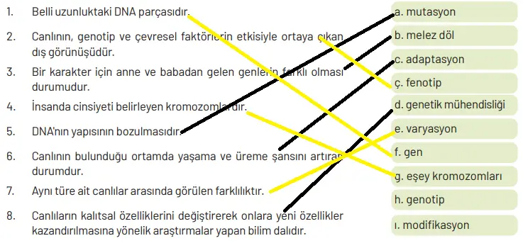 8. Sınıf Fen Bilimleri Ders Kitabı Sayfa 92 Cevapları