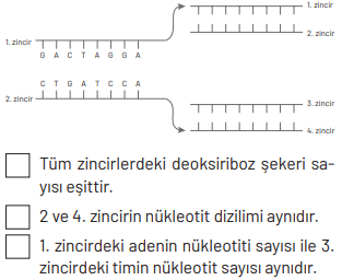 8. Sınıf Fen Bilimleri Ders Kitabı Sayfa 96 Cevapları Hecce Yayıncılık