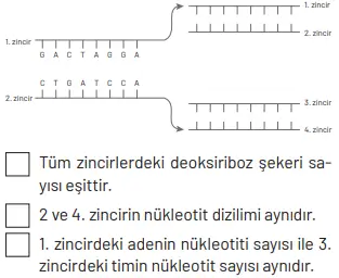 8. Sınıf Fen Bilimleri Ders Kitabı Sayfa 96 Cevapları Hecce Yayıncılık
