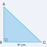 8. Sınıf Matematik Ders Kitabı Sayfa 55 Cevapları