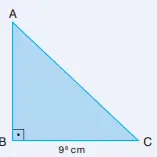 8. Sınıf Matematik Ders Kitabı Sayfa 55 Cevapları