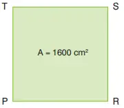 8. Sınıf Matematik Ders Kitabı Sayfa 62-66. Cevapları Sonuç Yayınları
