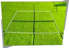 8. Sınıf Matematik Ders Kitabı Sayfa 80-82-83-84-85-86. Cevapları MEB Yayınları