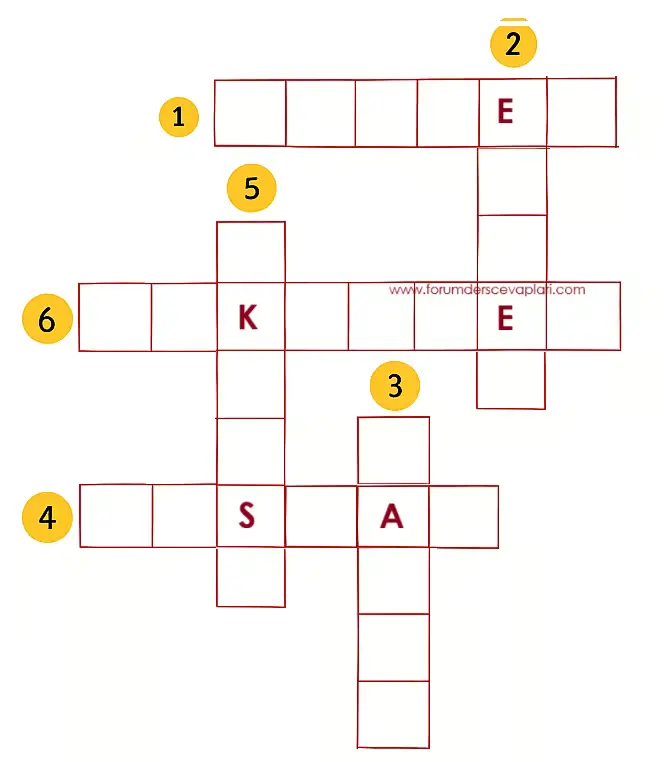 8. Sınıf Türkçe Ders Kitabı Sayfa 83-85-86-87. Cevapları MEB Yayınları