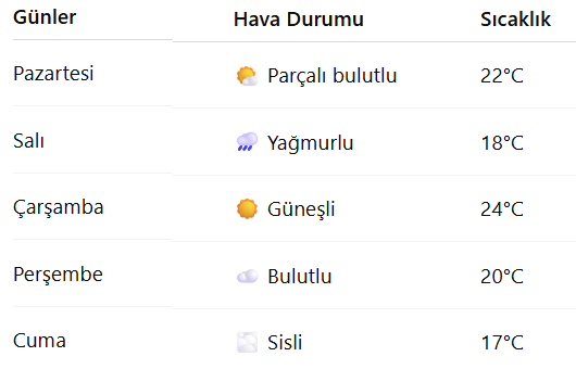 beş günlük hava olayları