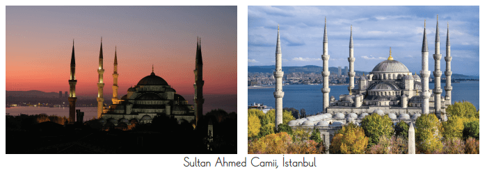 3. Sınıf Fen Bilimleri Ders Kitabı Sayfa 145 Cevapları CEM Yayınları