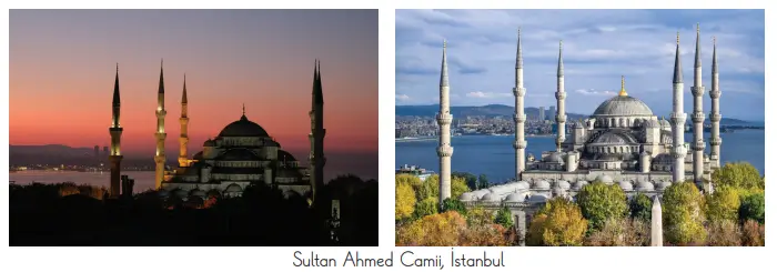 3. Sınıf Fen Bilimleri Ders Kitabı Sayfa 145 Cevapları CEM Yayınları 3. Sınıf Fen Bilimleri Ders Kitabı Sayfa 145 Cevapları CEM Yayınları