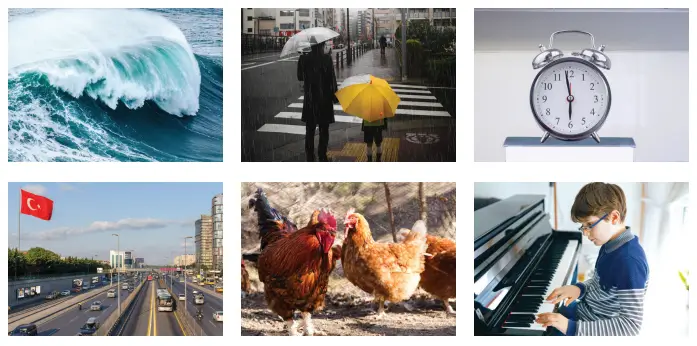 3. Sınıf Fen Bilimleri Ders Kitabı Sayfa 154 Cevapları CEM Yayınları