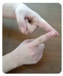 3. Sınıf Fen Bilimleri Ders Kitabı Sayfa 164 Cevapları CEM Yayınları