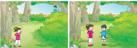 3. Sınıf Fen Bilimleri Ders Kitabı Sayfa 156-157-158-159. Cevapları CEM Yayınları 1 3. Sınıf Fen Bilimleri Ders Kitabı Sayfa 156 Cevapları