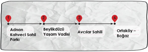 3. Sınıf Hayat Bilgisi Ders Kitabı Sayfa 153-155. Cevapları MEB Yayınları