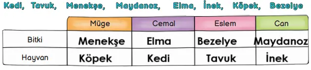 3. Sınıf Hayat Bilgisi Ders Kitabı Sayfa 186 Cevapları