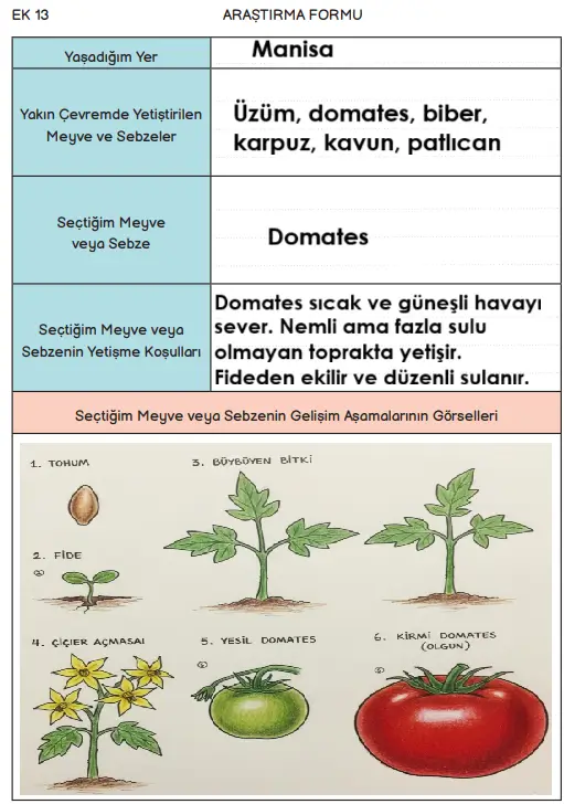 3. Sınıf Hayat Bilgisi Ders Kitabı Sayfa 188 Cevapları