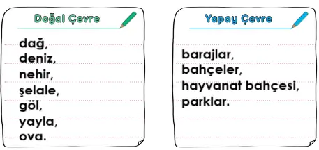 3. Sınıf Hayat Bilgisi Ders Kitabı Sayfa 194-196-197. Cevapları MEB Yayınları