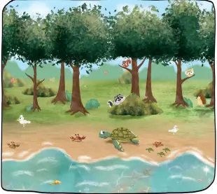 3. Sınıf Hayat Bilgisi Ders Kitabı Sayfa 194-196-197. Cevapları MEB Yayınları 2 3. Sınıf Hayat Bilgisi Ders Kitabı Sayfa 196 Cevapları