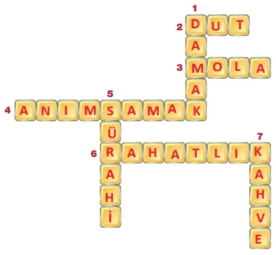 4. Sınıf Türkçe Ders Kitabı Sayfa 161-162-163-164-165. Cevapları ADA Yayınları