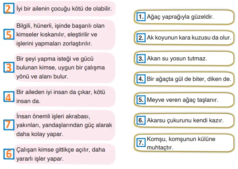 4. Sınıf Türkçe Ders Kitabı Sayfa 173-174-175-176. Cevapları ADA Yayınları 3 4. Sınıf Türkçe Ders Kitabı Sayfa 176 Cevapları ADA Yayınları1