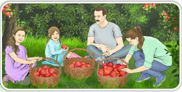 4. Sınıf İnsan Hakları Ders Kitabı Sayfa 54-55. Cevapları MEB Yayınları