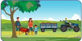 4. Sınıf Trafik Güvenliği Ders Kitabı Sayfa 49. Cevapları MEB Yayınları