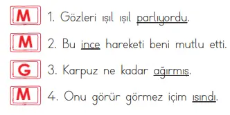 4. Sınıf Türkçe Ders Kitabı Sayfa 72-73-74-75 Cevapları MEB Yayınları 4 4. Sınıf Türkçe Ders Kitabı Sayfa 74 Cevapları