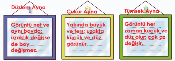 6. Sınıf Fen Bilimleri Ders Kitabı Sayfa 153-154-155-156-159-160-161. Cevapları 1. Kitap 2 6. Sınıf Fen Bilimleri Ders Kitabı Sayfa 153 Cevapları