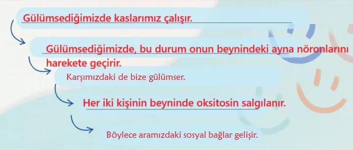 6. Sınıf Türkçe Ders Kitabı Sayfa 34-35 Cevapları İkinci Kitap
