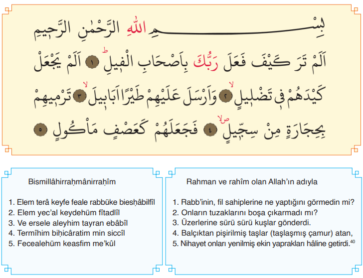 6. Sınıf Din Kültürü Ders Kitabı Sayfa 126. Cevapları