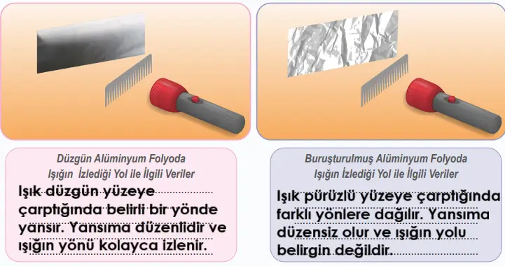 6. Sınıf Fen Bilimleri Ders Kitabı Sayfa 136-137-138-139-140. Cevapları 1. Kitap 2 6. Sınıf Fen Bilimleri Ders Kitabı Sayfa 138 Cevapları