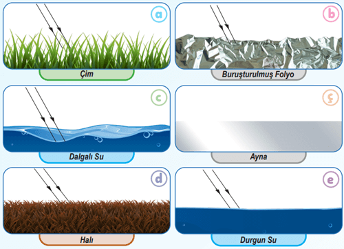 6. Sınıf Fen Bilimleri Ders Kitabı Sayfa 144 Cevapları Birinci Kitap