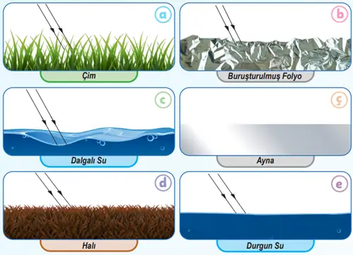 6. Sınıf Fen Bilimleri Ders Kitabı Sayfa 144 Cevapları Birinci Kitap