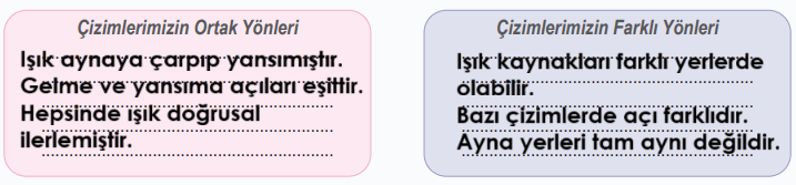 6. Sınıf Fen Bilimleri Ders Kitabı Sayfa 145 Cevapları