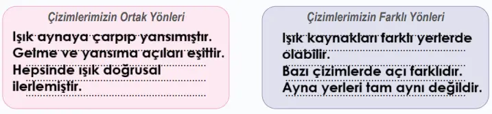 6. Sınıf Fen Bilimleri Ders Kitabı Sayfa 145 Cevapları