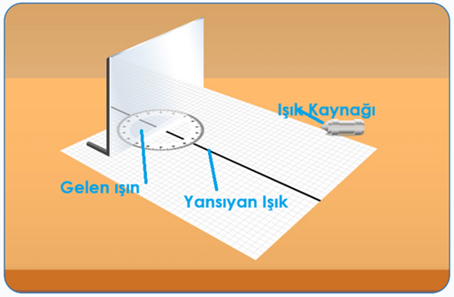 6. Sınıf Fen Bilimleri Ders Kitabı Sayfa 146-147-148-150-151. Cevapları 1. Kitap