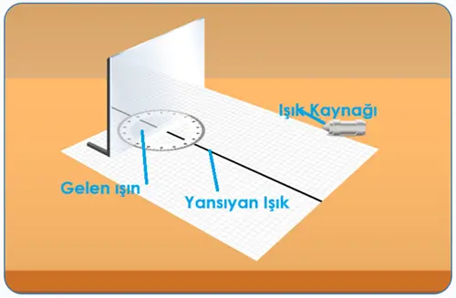 6. Sınıf Fen Bilimleri Ders Kitabı Sayfa 146-147-148-150-151. Cevapları 1. Kitap