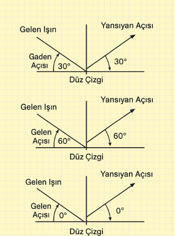 6. Sınıf Fen Bilimleri Ders Kitabı Sayfa 146-147-148-150-151. Cevapları 1. Kitap 11 6. Sınıf Fen Bilimleri Ders Kitabı Sayfa 147 Cevapları